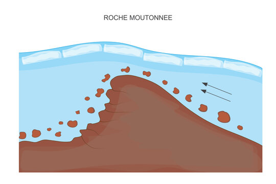 A roche moutonn&eacute;e is a glacially eroded rock formation with a smooth, gently sloping side and a rough, steep side, shaped by ice movement.