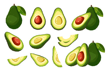 Avocado set. Whole avocado, half, slices. Vector illustration isolated on white background.