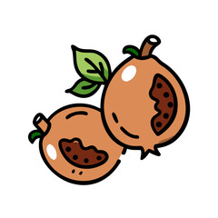 medlar fruit icon, medlar fruit vector illustration-simple illustration of medlar fruit, perfect for medlar fruit logos and icons