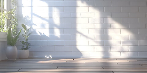 Minimal Interior with Sunlight and Potted Plants


