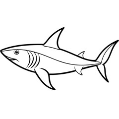 Minimalist Mako Shark Line Art