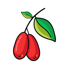 miracle fruit icon, miracle fruit vector illustration-simple illustration of miracle fruit, perfect for miracle fruit logos and icons