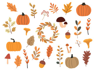 Set of autumn leaves, fallen leaves, pumpkins and mushrooms, hand drawn vector illustration