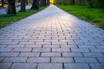 Close-up of a path made of paving slabs in a park