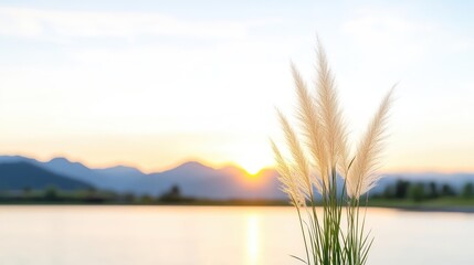 Serene sunset landscape featuring silhouetted mountains, calm water, and delicate, backlit pampas grass in the foreground.