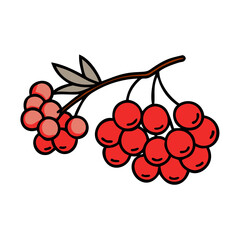 mountain ash berries icon, mountain ash berries vector illustration-simple illustration of mountain ash berries, perfect for mountain ash berries logos and icons