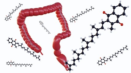 A 3d rendering of vitamin K molecules and large intestine, suggesting either absorption into the intestinal lining or their production by the gut microbiota within the colon. 
