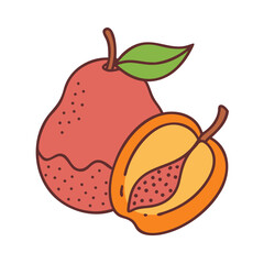 nance fruit icon, nance fruit vector illustration-simple illustration of nance fruit, perfect for nance fruit logos and icons