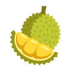 Durian fruit with opened section Illustration