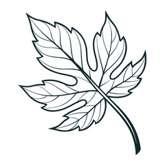 Fototapeta premium leaf icon vector illustration