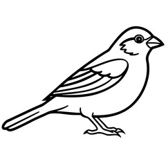 Minimalist Sparrow Line Art Vector