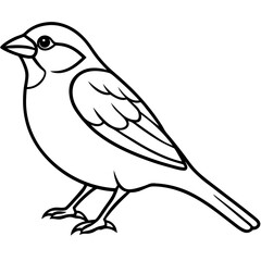 Minimalist Sparrow Line Art Vector