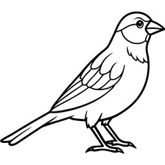 Minimalist Sparrow Line Art Vector
