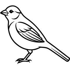 Minimalist Sparrow Line Art Vector