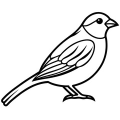 Minimalist Sparrow Line Art Vector