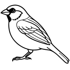 Minimalist Sparrow Line Art Vector