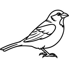 Obraz premium Minimalist Sparrow Line Art Vector