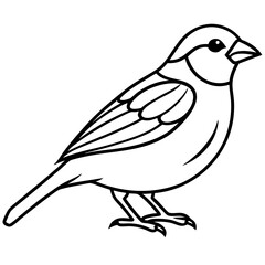 Minimalist Sparrow Line Art Vector