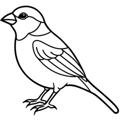 Minimalist Sparrow Line Art Vector