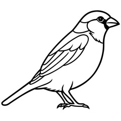 Minimalist Sparrow Line Art Vector