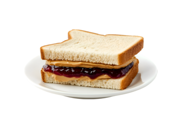 Delicious Peanut Butter and Jelly Sandwich on White Plate