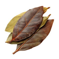 Dried bay leaves for culinary use food photography studio setting close-up view