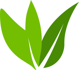 Simple leaf vector with green color. Perfect for eco-friendly designs or nature-themed projects.