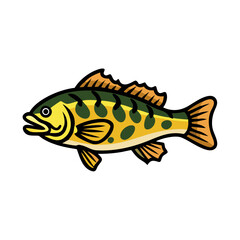 peacock bass icon, peacock bass vector illustration-simple illustration of peacock bass, perfect for peacock bass logos and icons