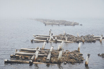 Landscape of a ruined wooden pier on the sea in fog