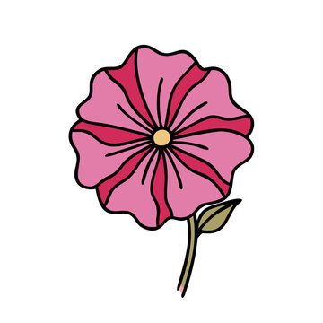 recommend clip art: petunia flower icon, petunia flower vector illustration-simple illustration of petunia flower, perfect for petunia flower logos and icons