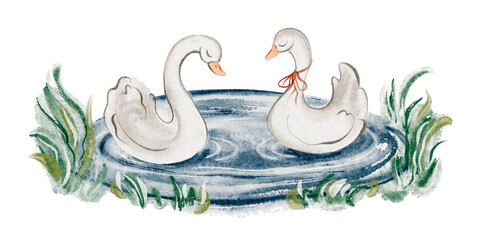 Watercolor illustration of a pair of swans floating on a serene pond. Elegant birds symbolize love and harmony in nature. Hand-drawn design for wedding or romantic decor. © Elena