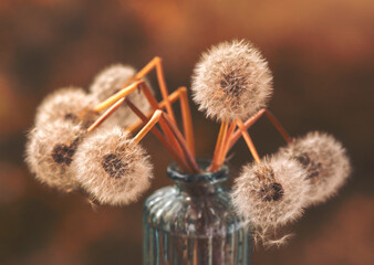 Wiosenna impresja, Dmuchawce w wazonie, tapeta, dekoracja. © mycatherina