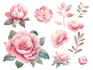 Fototapeta premium Watercolor Pink Floral Peonies and Roses Arrangement