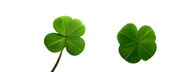 Lucky Clover Collection: A vibrant collection of shamrocks, four-leaf clovers, and other green leaves, perfect for adding a touch of luck and nature to your designs.