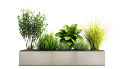 wooden box with green grass isolated on white background. 