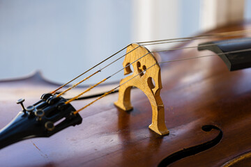 Detailed studio close-up of a classical cello showing the body and strings, photographed on a clean white background. The image highlights the fine wood grain, curved shape, and craftsmanship of the i