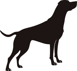 Dog Silhouette Vector Illustration - Elegant and Minimalistic Design for Pet and Wildlife Projects.