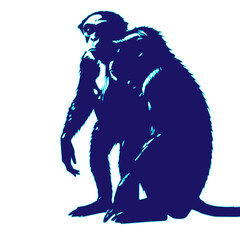 Fototapeta premium navy blue a pair of monkeys