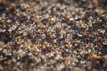 Sand texture with small stones macro, close-up