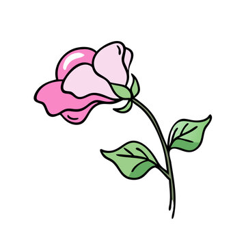 pink rose flower stem green leaves clip art preview