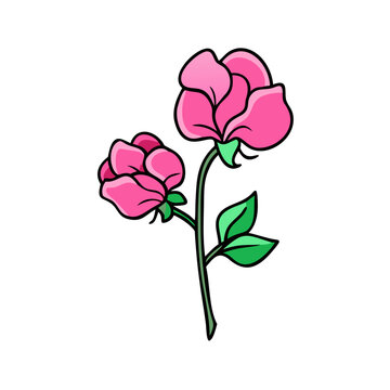 recommend clip art: sweet pea flower icon, sweet pea flower vector illustration-simple illustration of sweet pea flower, perfect for sweet pea flower logos and icons