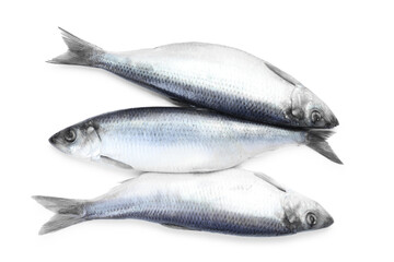 Salted herrings on white background, top view