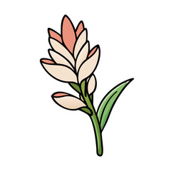 tuberose flower icon, tuberose flower vector illustration-simple illustration of tuberose flower, perfect for tuberose flower logos and icons