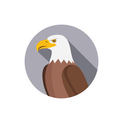 Vector Illustration of a eagle face, Side View of eagle for icon.