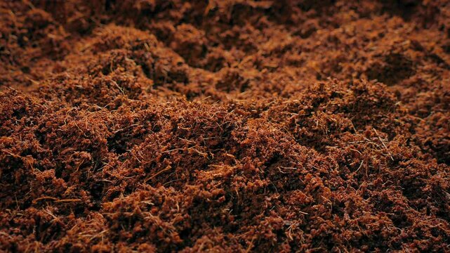 Compost Soil Surface Moving Shot
