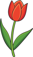 A simple, colorful illustration of a single, vibrant red tulip, perfectly isolated on a white background.