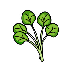 watercress icon, watercress vector illustration-simple illustration of watercress, perfect for watercress logos and icons