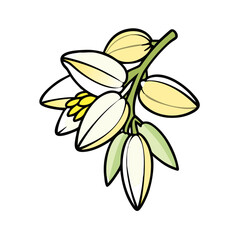 yucca flower icon, yucca flower vector illustration-simple illustration of yucca flower, perfect for yucca flower logos and icons