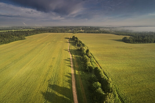 Top view: road among meadows with trees  on a summer day