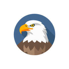 Vector illustration of Eagle face, Sharpe and Shinny Eagle for Icons.